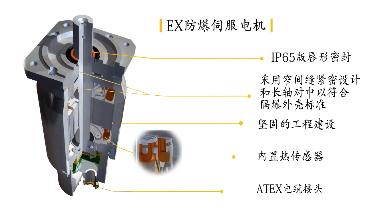 EX防爆伺服電機拆解.jpg