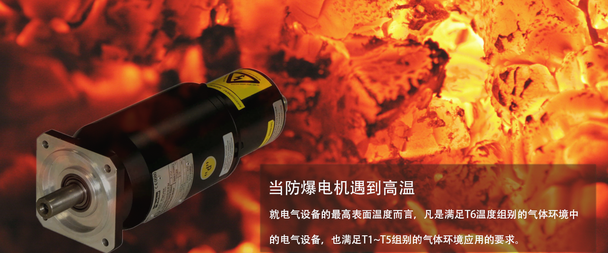派克防爆伺服電機.png