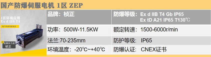 國產防爆伺服電機.jpg